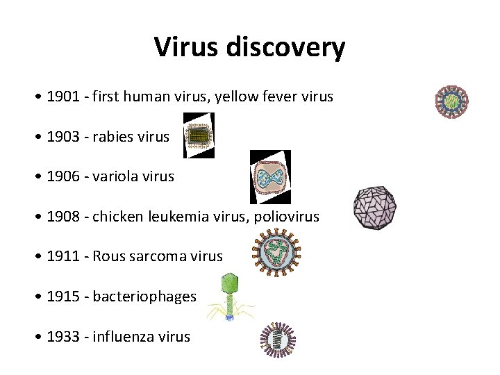 Virus discovery • 1901 - first human virus, yellow fever virus • 1903 -