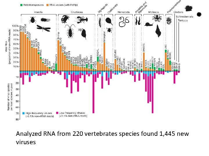 Analyzed RNA from 220 vertebrates species found 1, 445 new viruses 