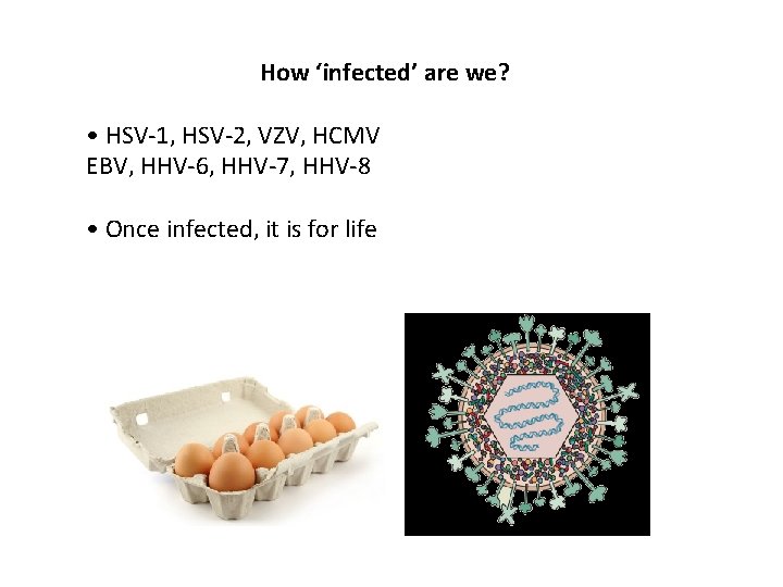 How ‘infected’ are we? • HSV-1, HSV-2, VZV, HCMV EBV, HHV-6, HHV-7, HHV-8 •