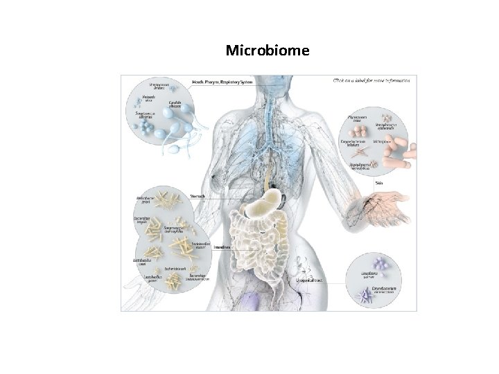 Microbiome 