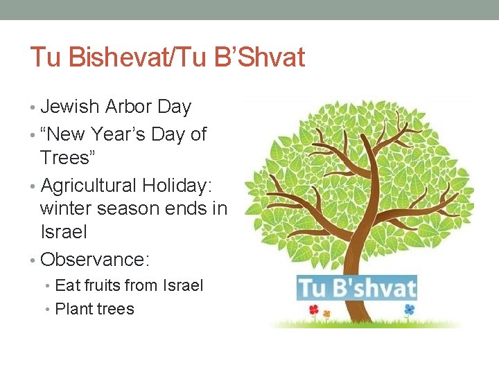 Tu Bishevat/Tu B’Shvat • Jewish Arbor Day • “New Year’s Day of Trees” •