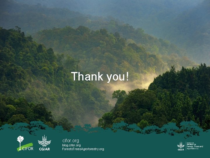 Thank you! cifor. org blog. cifor. org Forests. Trees. Agroforestry. org 