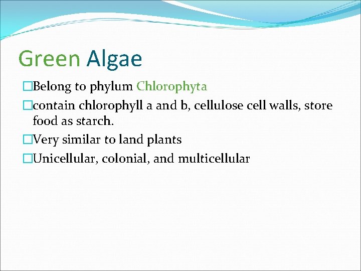 Green Algae �Belong to phylum Chlorophyta �contain chlorophyll a and b, cellulose cell walls,