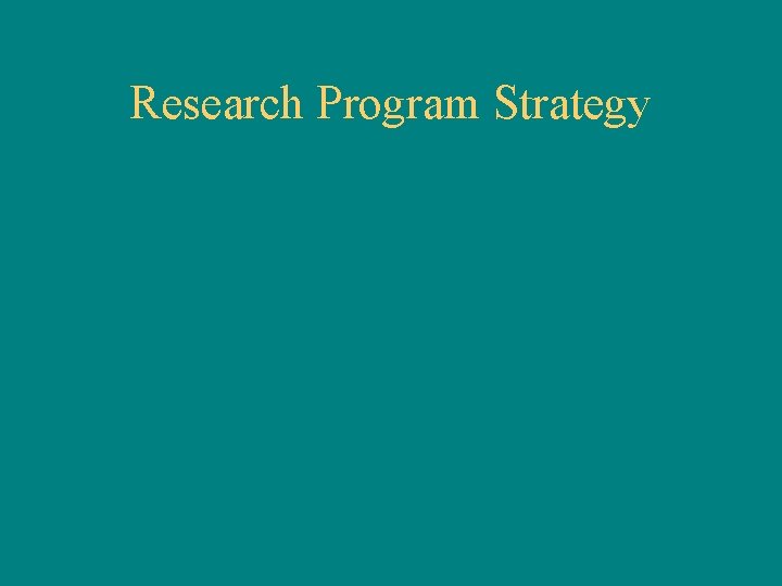 Research Program Strategy 