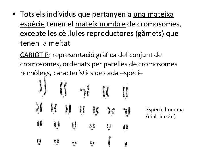  • Tots els individus que pertanyen a una mateixa espècie tenen el mateix