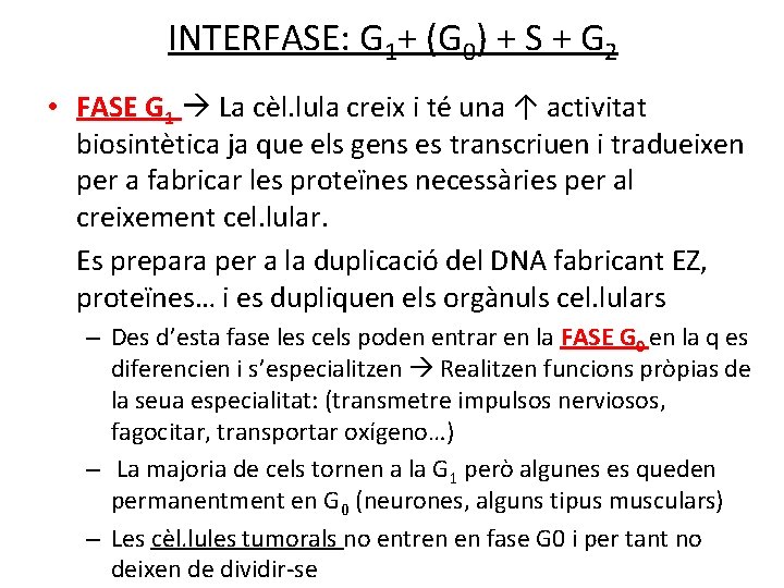 INTERFASE: G 1+ (G 0) + S + G 2 • FASE G 1