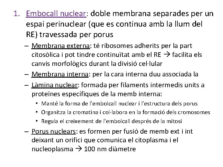 1. Embocall nuclear: doble membrana separades per un espai perinuclear (que es continua amb