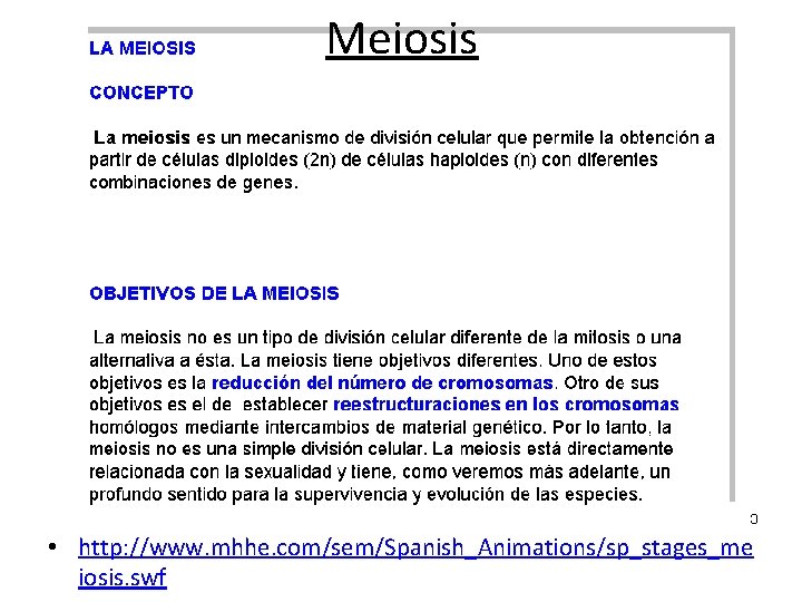Meiosis • http: //www. mhhe. com/sem/Spanish_Animations/sp_stages_me iosis. swf 