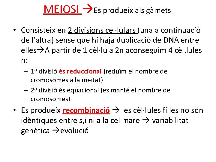 MEIOSI Es produeix als gàmets • Consisteix en 2 divisions cel·lulars (una a continuació