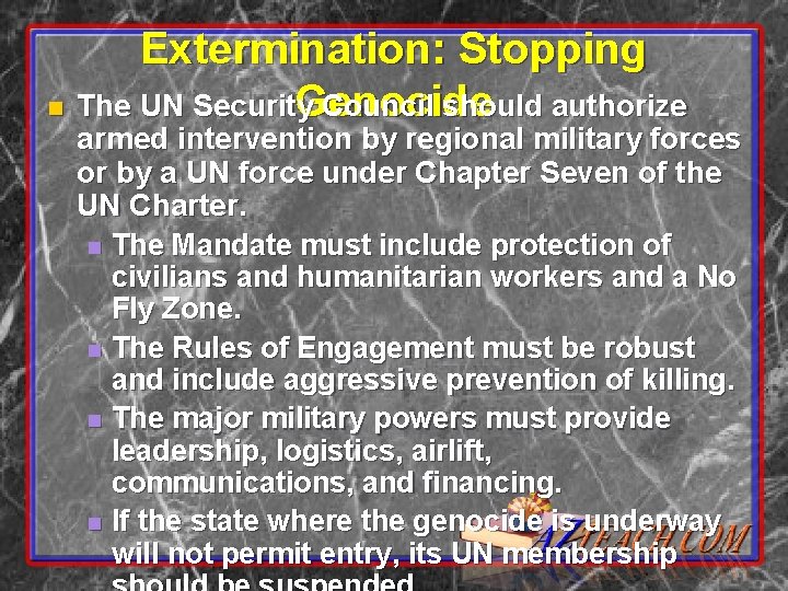 Extermination: Stopping Genocide n The UN Security Council should authorize armed intervention by regional