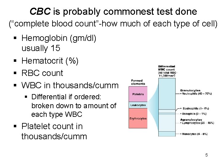 CBC is probably commonest test done (“complete blood count”-how much of each type of