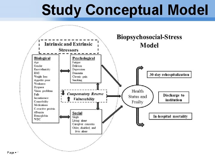 Study Conceptual Model Page 13 