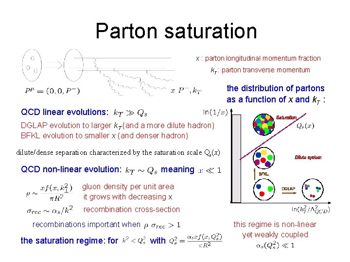 Parton saturation x : parton longitudinal momentum fraction k. T : parton transverse momentum