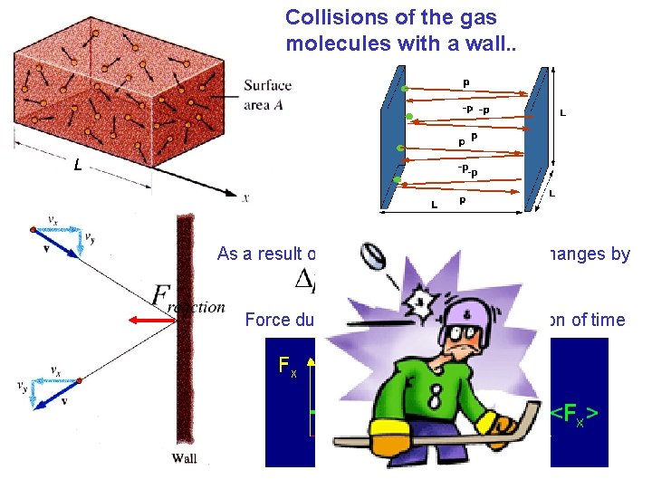 Collisions of the gas molecules with a wall. . L As a result of Collisions of the gas molecules with a wall. . L As a result of