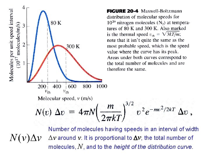 Number of molecules having speeds in an interval of width Dv around v. It Number of molecules having speeds in an interval of width Dv around v. It