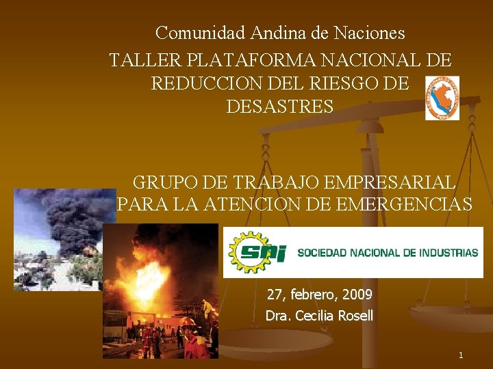 Comunidad Andina de Naciones TALLER PLATAFORMA NACIONAL DE REDUCCION DEL RIESGO DE DESASTRES GRUPO