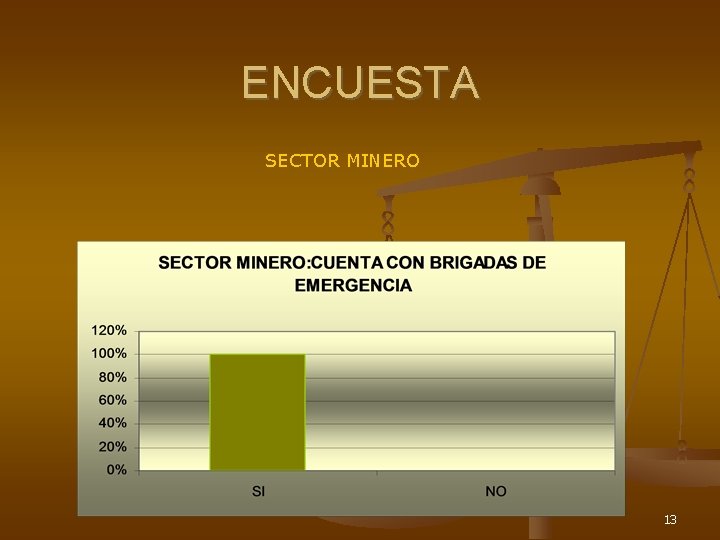 ENCUESTA SECTOR MINERO 13 