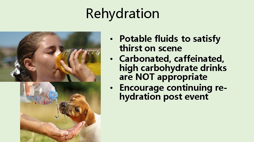 Rehydration • Potable fluids to satisfy thirst on scene • Carbonated, caffeinated, high carbohydrate