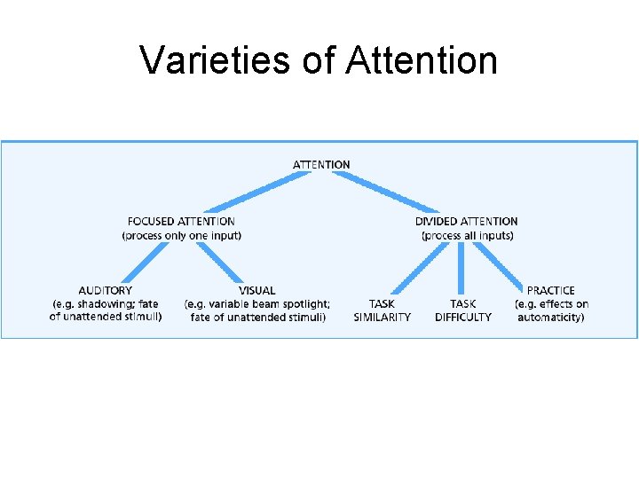 Varieties of Attention 