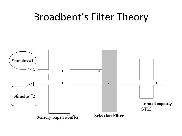 Broadbent’s Filter Theory Stimulus #1 Stimulus #2 Limited capacity STM Sensory register/buffer Selection Filter