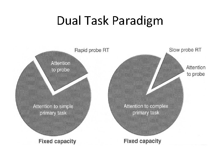 Dual Task Paradigm 