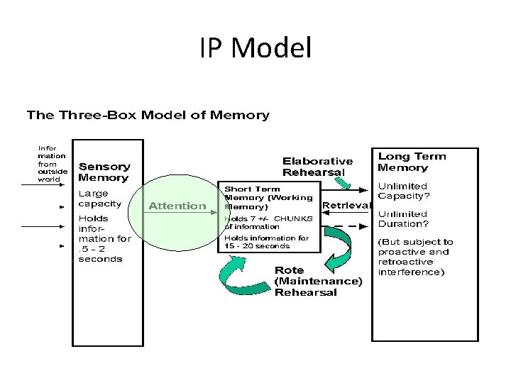 IP Model 