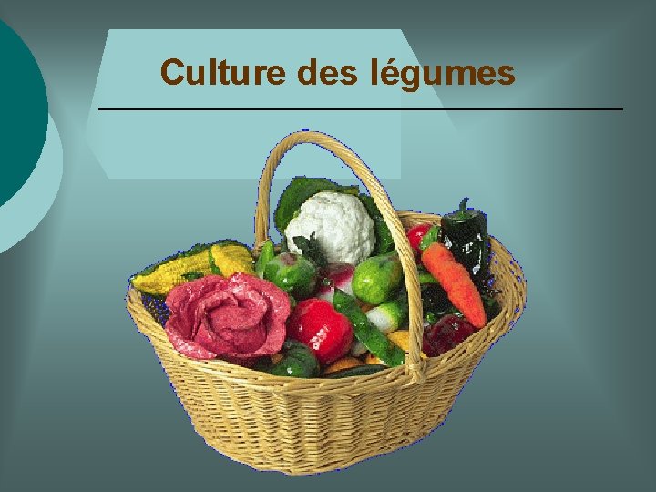 Culture des légumes 