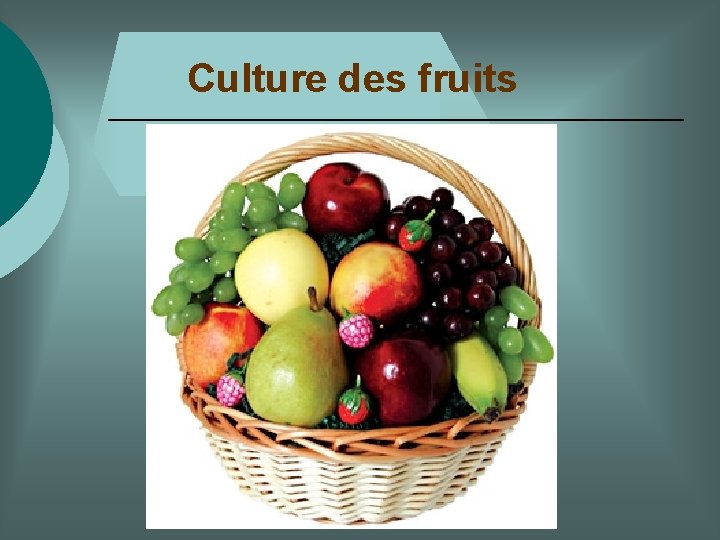 Culture des fruits 