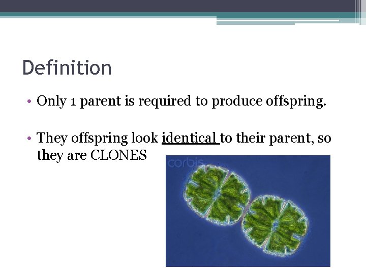 Definition • Only 1 parent is required to produce offspring. • They offspring look