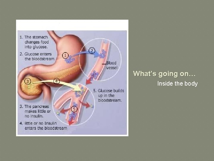 What’s going on… Inside the body 