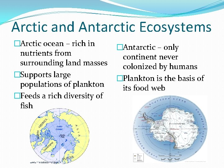 Arctic and Antarctic Ecosystems �Arctic ocean – rich in nutrients from surrounding land masses