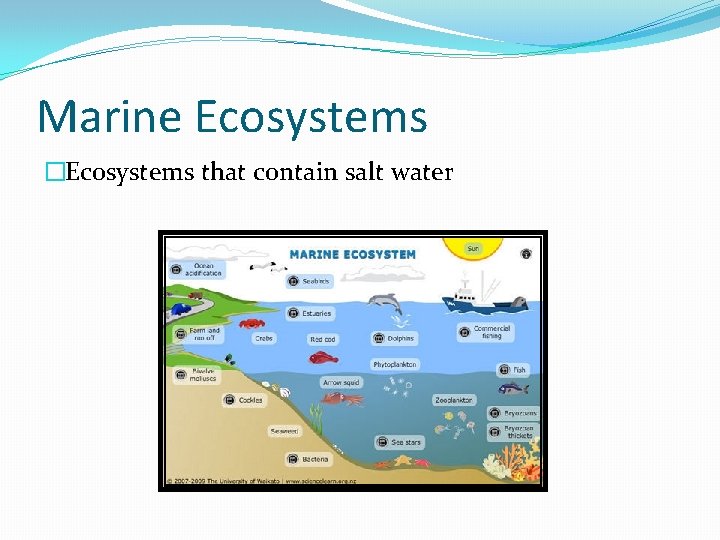 Marine Ecosystems �Ecosystems that contain salt water 