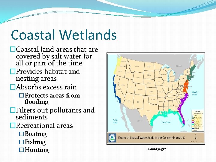 Coastal Wetlands �Coastal land areas that are covered by salt water for all or