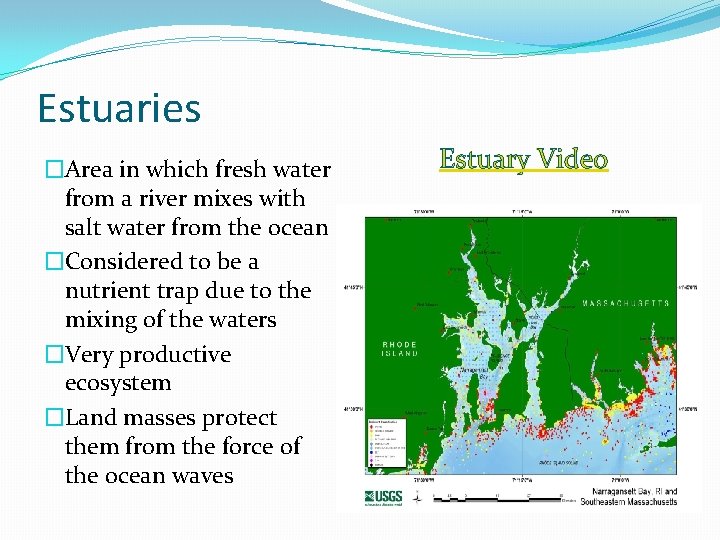 Estuaries �Area in which fresh water from a river mixes with salt water from