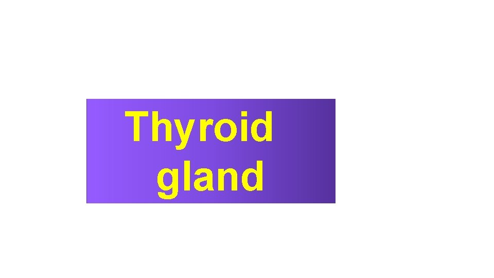 Thyroid gland 