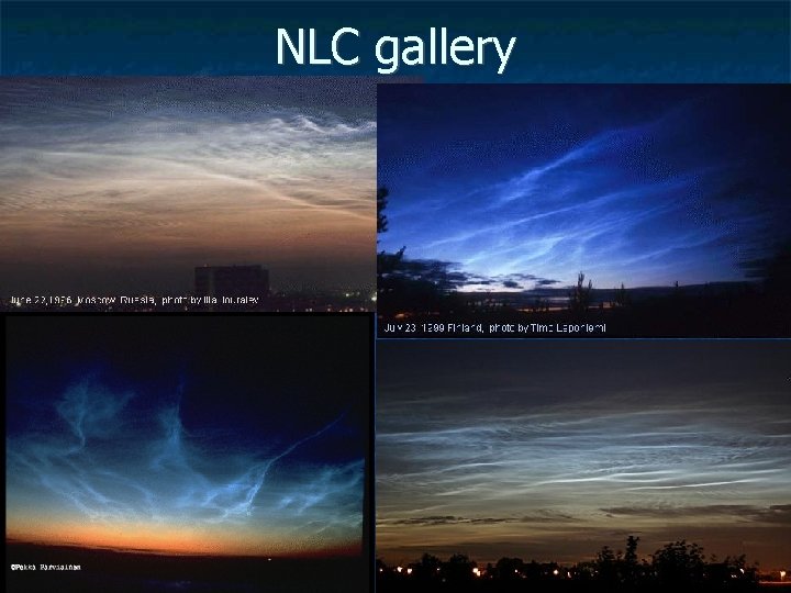 NLC gallery 