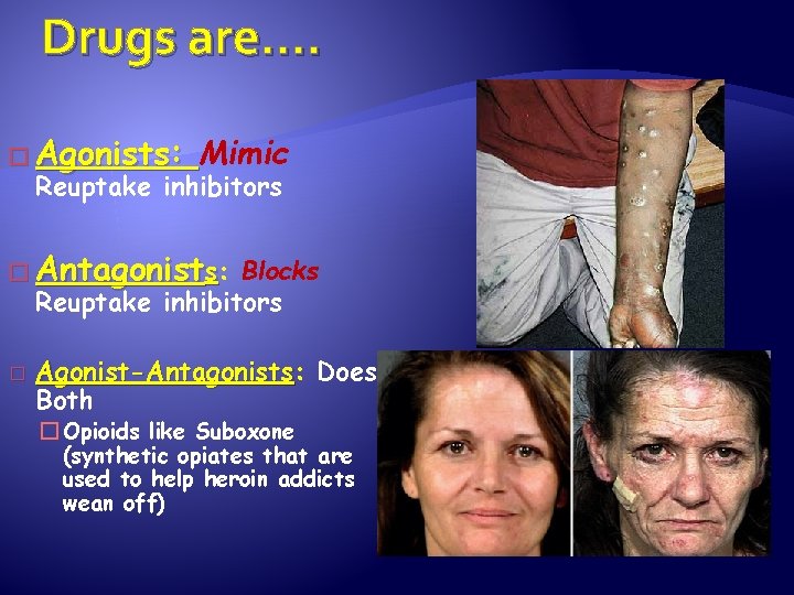 Drugs are…. � Agonists: Mimic Reuptake inhibitors � Antagonists: Blocks Reuptake inhibitors � Agonist-Antagonists: