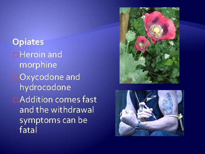 Opiates � Heroin and morphine � Oxycodone and hydrocodone � Addition comes fast and