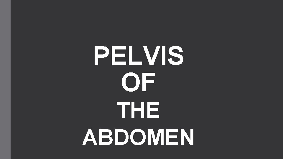 PELVIS OF THE ABDOMEN 
