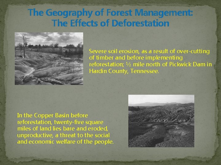 The Geography of Forest Management: The Effects of Deforestation Severe soil erosion, as a