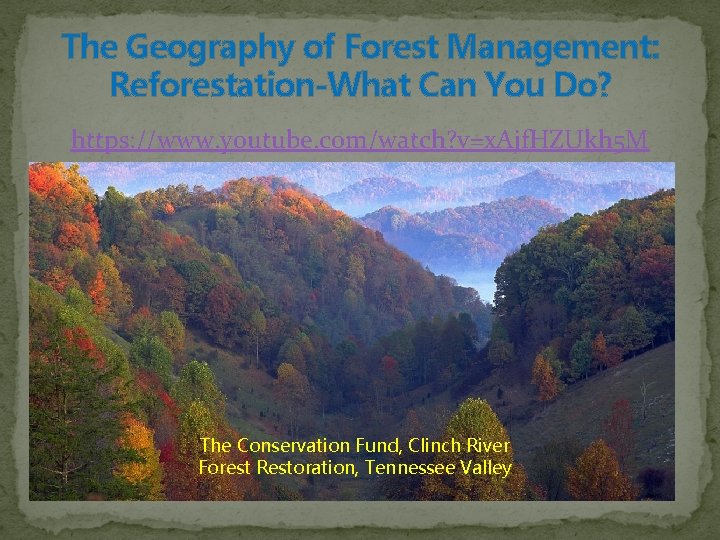 The Geography of Forest Management: Reforestation-What Can You Do? https: //www. youtube. com/watch? v=x.