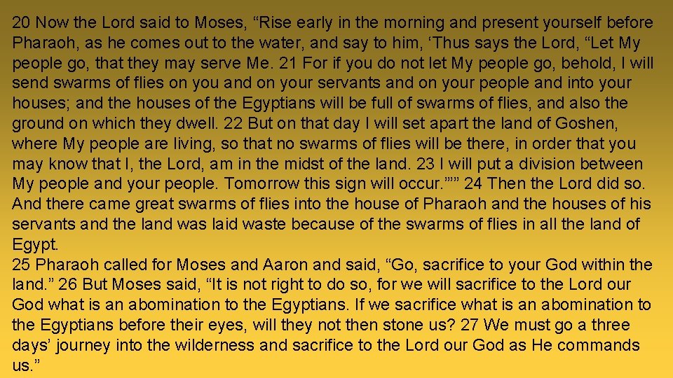 20 Now the Lord said to Moses, “Rise early in the morning and present