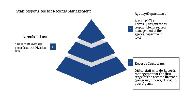 Staff responsible for Records Management Agency/Department 1 Records Officer Formally designated as responsible for