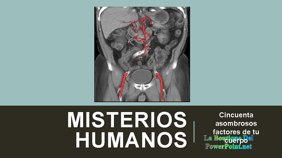 MISTERIOS HUMANOS Cincuenta asombrosos factores de tu La Boutique Del cuerpo Power. Point. net