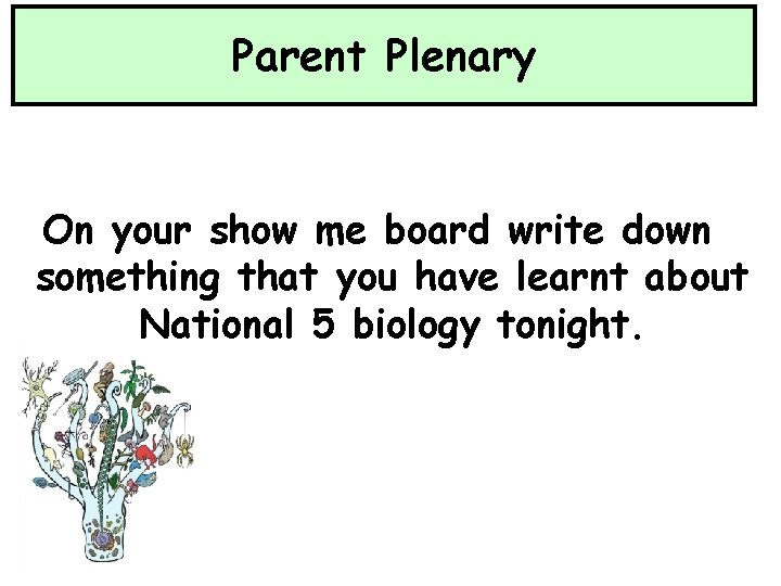 Parent Plenary On your show me board write down something that you have learnt