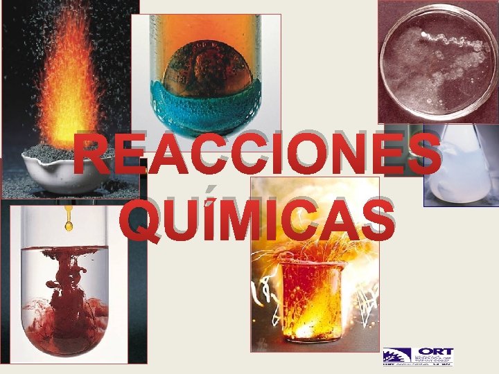 REACCIONES QUÍMICAS 