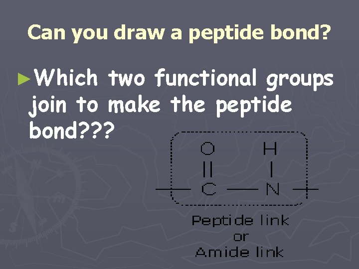 Can you draw a peptide bond? ►Which two functional groups join to make the