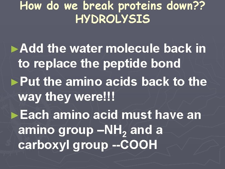 How do we break proteins down? ? HYDROLYSIS ►Add the water molecule back in