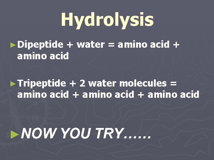 Hydrolysis ► Dipeptide + water = amino acid + amino acid ► Tripeptide +