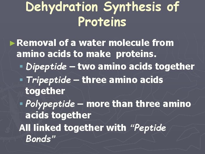 Dehydration Synthesis of Proteins ► Removal of a water molecule from amino acids to